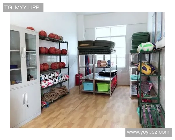 体育器材登记表的规范化管理与使用效率提升探讨